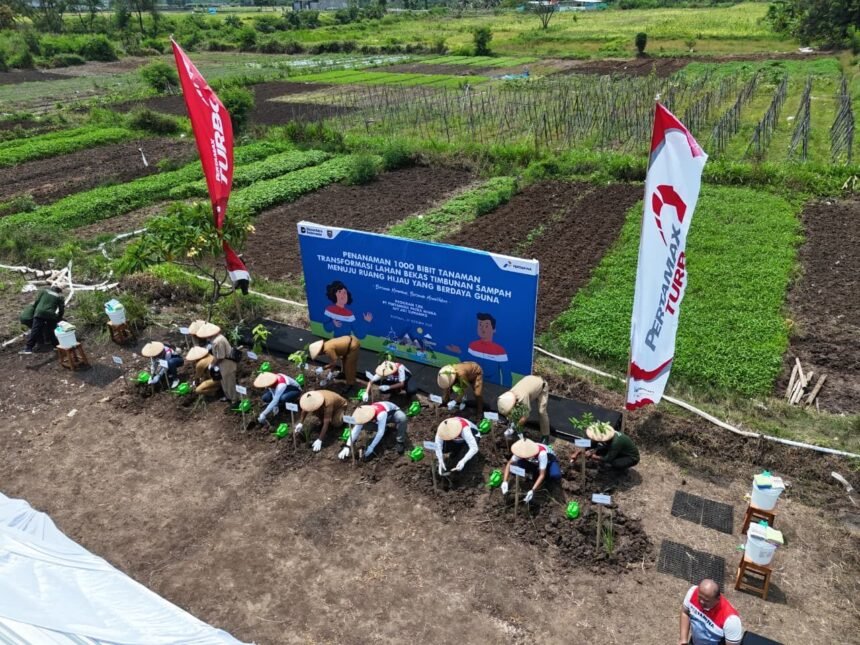 Inovasi di Tengah Kemarau, Pertamina Tanam Harapan Bersama Petani Desa Sobokerto