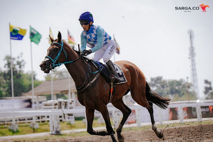 Indonesia’s Horse Racing: 152 Kuda Siap Berlaga di IHR Kejurnas Pacuan Kuda Pordasi ke-59 Seri II 2025 3 Indonesia’s Horse Racing: 152 Kuda Siap Berlaga di IHR Kejurnas Pacuan Kuda Pordasi ke-59 Seri II 2025