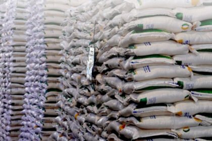 BPS: Beras dan sejumlah komoditas pangan tekan inflasi September 2025, meski IHK tetap alami kenaikan.