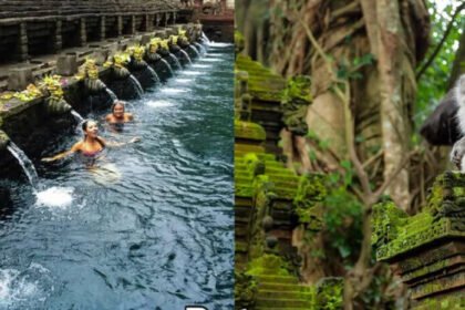 OJK Bali: Penyaluran kredit tumbuh 6,5 persen didorong oleh UMKM dan sektor pariwisata.