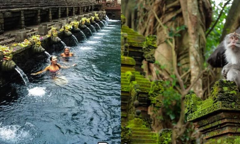 OJK Bali: Penyaluran kredit tumbuh 6,5 persen didorong oleh UMKM dan sektor pariwisata.