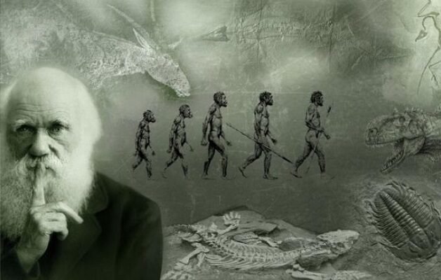 Deretan Peristiwa Bersejarah 24 November: Charles Darwin Populerkan Teori Evolusi Hingga Kelahiran Tokoh Muhammadiyah