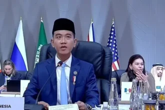 Indonesia Serukan Pembiayaan Setara di KTT G20 Afrika Selatan