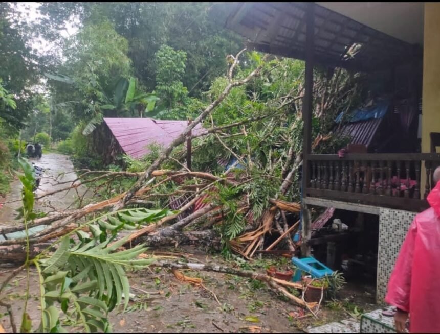 Perkembangan Situasi dan Penanganan Bencana di Indonesia pada 10 November 2025