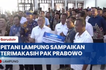 Harga Pupuk Turun 20%, Petani di Lampung Ucapkan Terima Kasih ke Presiden Prabowo