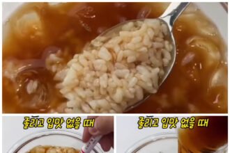 Bapmericano, Nasi Campur Americano dari Korea Yang Bikin Netizen Geleng Kepala