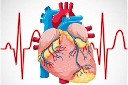 Penyakit kardiovaskular kembali menempati posisi teratas sebagai penyebab kematian di Indonesia dan kini menjadi perhatian serius pemerintah.