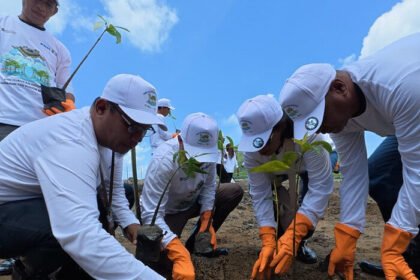 PNM kembali meneguhkan kontribusi lingkungan dengan aksi tanam ribuan pohon di berbagai daerah sepanjang 2025.