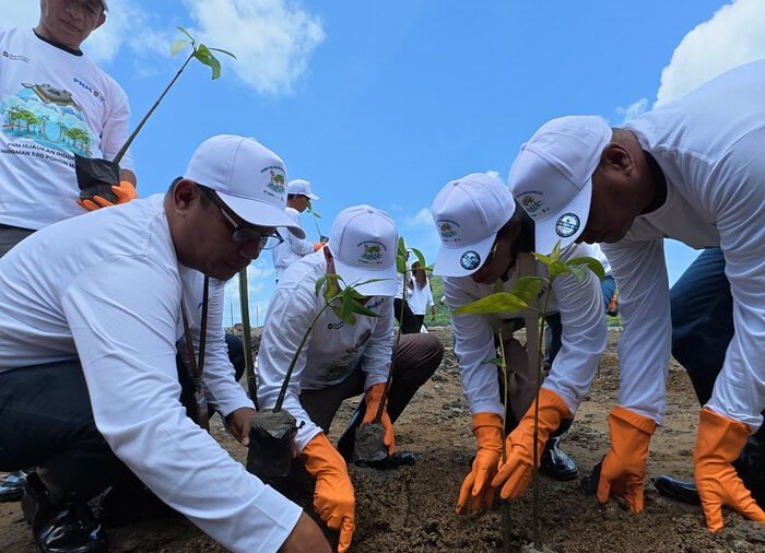 PNM kembali meneguhkan kontribusi lingkungan dengan aksi tanam ribuan pohon di berbagai daerah sepanjang 2025.