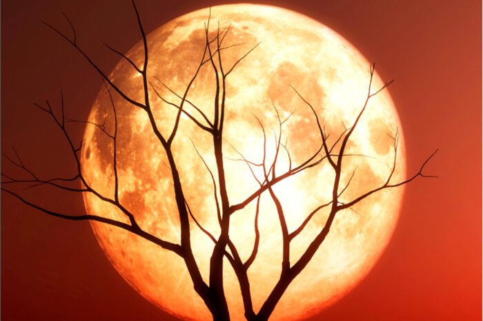 Malam Ini! Fenomena Langka Supermoon November 2025, Kapan Waktu Terbaik Melihatnya? 1 Bulan purnama tampak bersinar terang di langit malam Indonesia selama fenomena Supermoon November 2025.