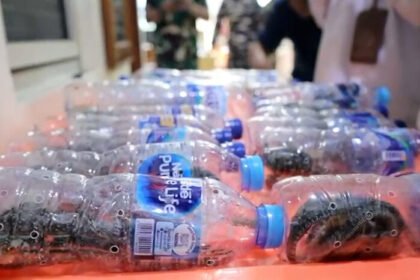 Anggota TNI AL dan BKSDA mengamankan puluhan reptil asal Papua dari upaya penyelundupan yang dilakukan melalui KM Dobonsolo.