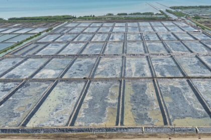 Kementerian Kelautan dan Perikanan menargetkan investasi Rp2 triliun dalam kegiatan Investment and Business Matching yang melibatkan ratusan peserta dari berbagai negara untuk mendorong hilirisasi perikanan nasional.