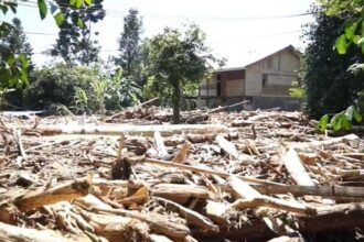 Polri–KLHK Turun Tangan, Usut Asal Kayu Gelondongan Raksasa yang Hanyut di Banjir Sumatera
