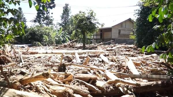 Polri–KLHK Turun Tangan, Usut Asal Kayu Gelondongan Raksasa yang Hanyut di Banjir Sumatera