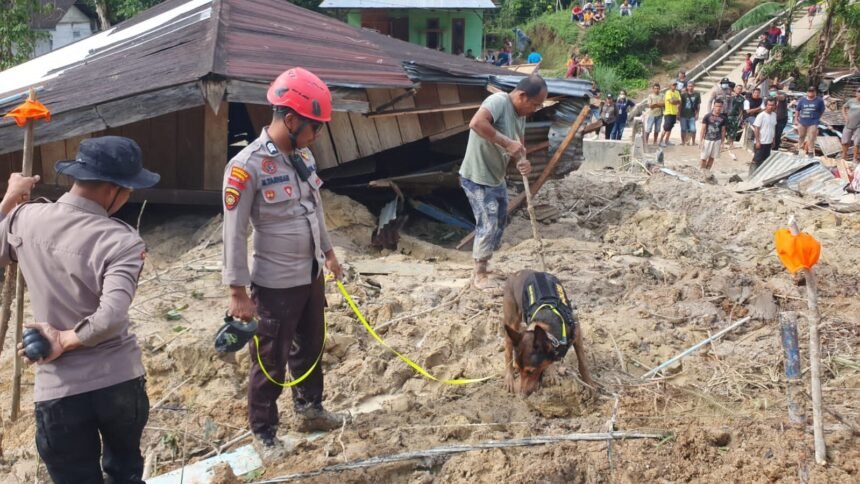 Anjing Pelacak K-9 Polri Temukan Dua Titik Indikasi Jenazah Korban Bencana di Tapteng