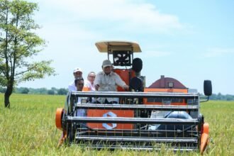 Punya Cadangan 3,7 Ton, Indonesia Stop Impor Beras!