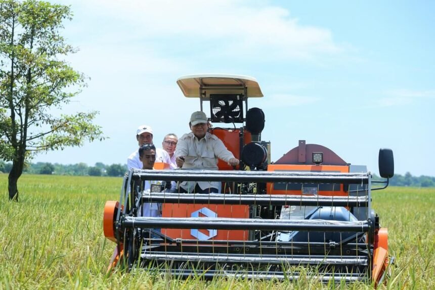 Punya Cadangan 3,7 Ton, Indonesia Stop Impor Beras!
