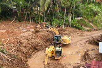 BNPB dan Pemerintah Daerah Optimalkan Perbaikan Akses Darat Sumbar