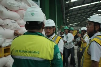 Harga Pupuk Bersubsidi Turun, Pupuk Indonesia Grup Pastikan Stok Terjaga