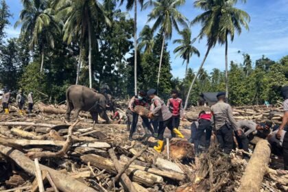Sinergi Polri dan BKSDA: Gajah Dikerahkan Bersihkan Material Banjir di Pidie Jaya