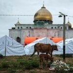 44 Ribu Hunian Sementara Disiapkan, Pemulihan Pascabencana Sumatera Dikebut