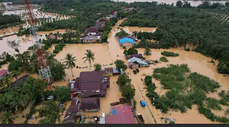 TNI Jelaskan Soal Beras Pecah Saat Airdrop : Medan Ekstrem dan Prioritaskan Keselamatan