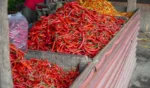 Cabai Rawit Tembus Rp72 Ribu, Pemerintah Waspadai Inflasi Volatile Food