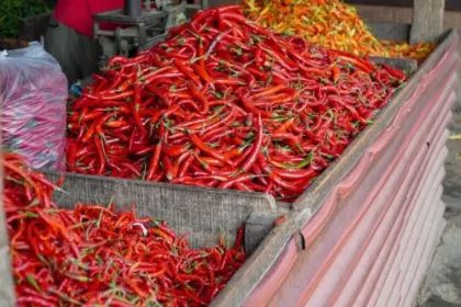 Cabai Rawit Tembus Rp72 Ribu, Pemerintah Waspadai Inflasi Volatile Food