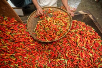 Jelang Nataru, Harga Pangan Melonjak di Banyak Daerah: Cabai Rawit Tembus Rp80 Ribu