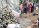 Usai Banjir Bandang, Rumah Warga Aceh Barat Diserbu Butiran Emas