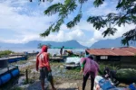 1.428 Ton Ikan Nila Siap Penen Mati di Danau Maninjau, Ini Penyebabnya