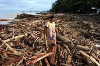 Analisis Satelit Ungkap Kerusakan Hutan, Menteri LH Bekukan Operasi 8 Perusahaan