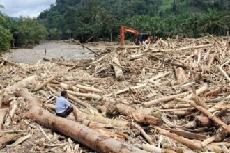 BRIN Bentuk Gugus Tugas Bencana Sumatera, Greenpeace Soroti Krisis Iklim sebagai Pemicu