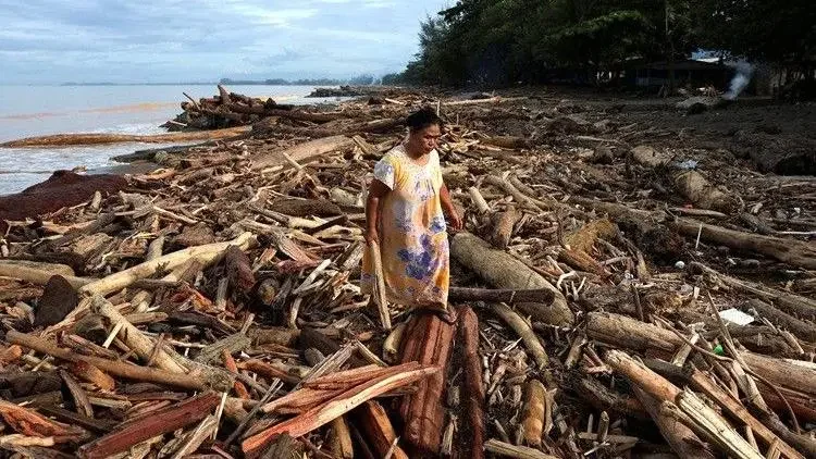 Analisis Satelit Ungkap Kerusakan Hutan, Menteri LH Bekukan Operasi 8 Perusahaan