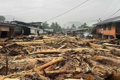 4,4 Juta Hektare Hutan Hilang : Pemerintah Usut 12 Perusahaan dalam Tragedi Banjir Sumatra