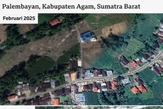 Satgas PKH Tagih Denda Rp38,6 Triliun dari 71 Perusahaan Perusak Hutan