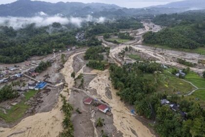 Satgas PKH Tagih Denda Rp38,6 Triliun dari 71 Perusahaan Perusak Hutan