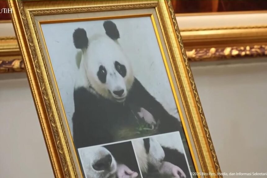 Prabowo Pamerkan Foto Bayi Panda ‘Rio’ kepada Ketua MPR China