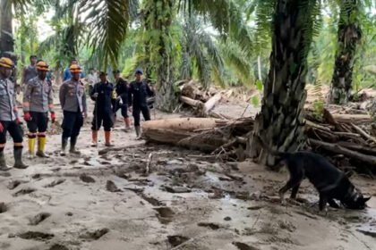 Tim K9 Polri menelusuri bantaran Sungai Huta Raja untuk menemukan korban bencana secara cepat dan akurat.