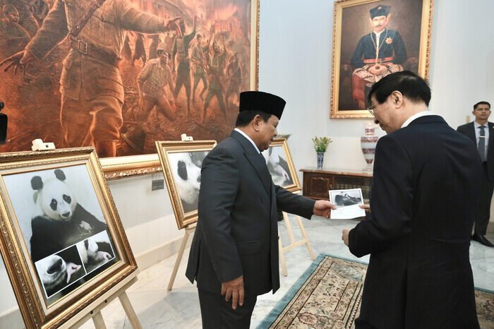 Prabowo perlihatkan foto bayi panda ‘Rio’ kepada Wang Huning dalam pertemuan penuh kehangatan di Istana Merdeka.