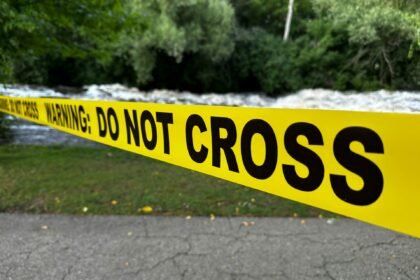 Fakta Bocah SD di Medan Tusuk Ibunya 26 Kali Gara-Gara Game Online Dihapus