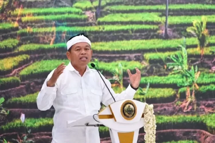 Cegah Krisis Air dan Bencana Lingkungan, Dedi Mulyadi Larang Penanaman Sawit Baru di Jawa Barat