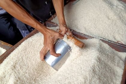 Pemerintah Siapkan Kebijakan Beras Satu Harga Berlaku Nasional Mulai 2026