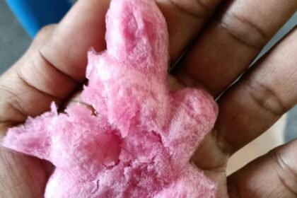 Polisi Akui Terlalu Cepat Dugai Es Gabus Mengandung Bahan Berbahaya