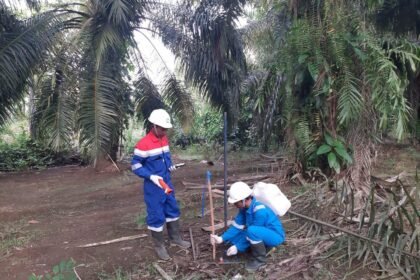 Elnusa Tancap Gas Percepat Jasa Eksplorasi Migas di Indonesia Timur dengan Penguatan Teknologi Seismik