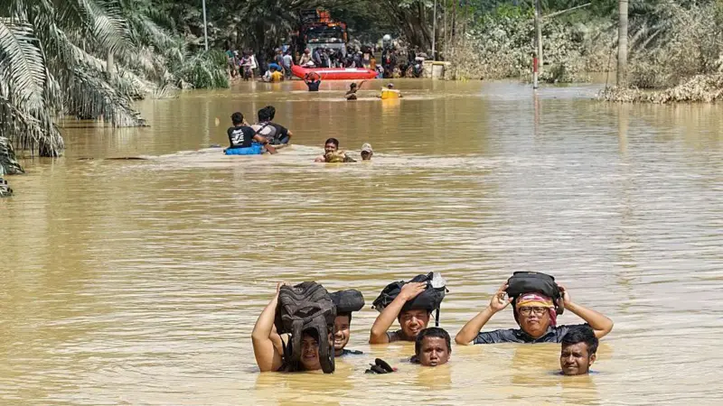 107 Ribu Hektare Sawah Rusak dan Lebih 820 Ribu Ternak Mati Akibat Banjir Sumatera