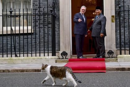 Larry the Cat Beraksi, Prabowo dan PM Inggris Auto Senyum di 10 Downing Street