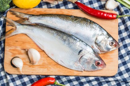 China Jadi Sumber Utama Ikan Ilegal ke RI, KKP Ungkap Modus dan Nilainya