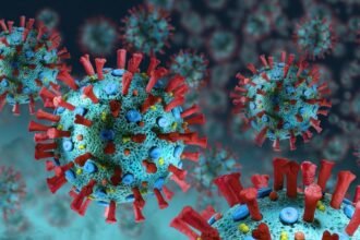 Gawat! Virus Nipah Menyerebak, Indonesia Harus Siap Siaga