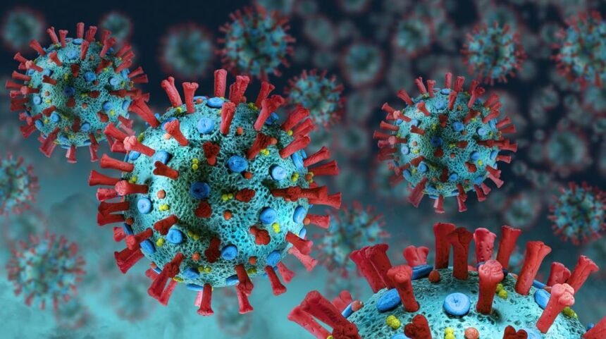 Gawat! Virus Nipah Menyerebak, Indonesia Harus Siap Siaga